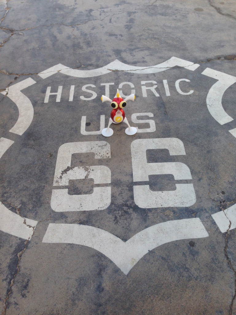 Flip hangs out on U.S. Highway Route 66 in Needles, Ariz.
