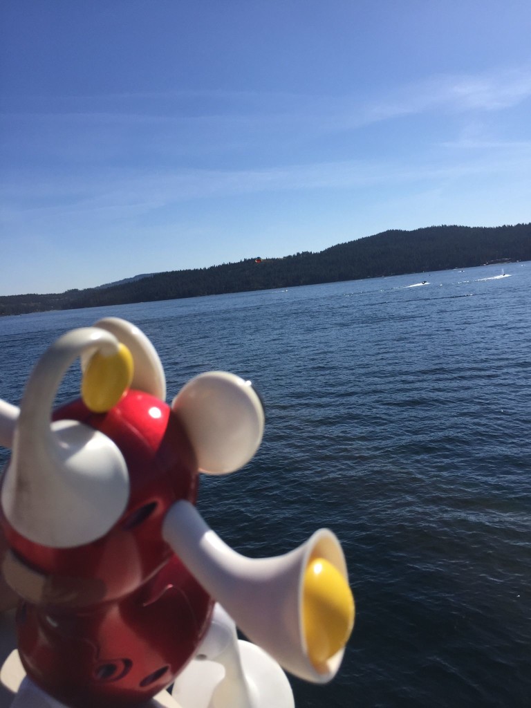 Flip gazes out over Lake Coeur d’Alene. Water, good.